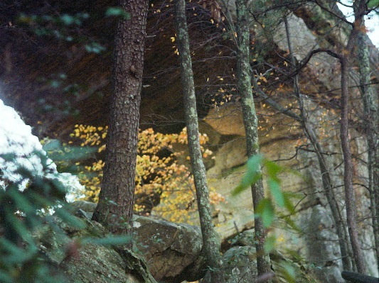 Red River Gorge in Fall